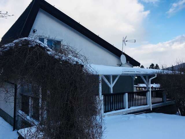 Дома для отпуска Ski Villa Świeradów Сверадув-Здруй-21